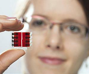 Organic sensors increase light sensitivity of cameras