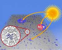 On the trail of organic solar cells' efficiency