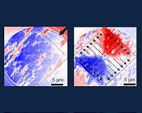 Future information technologies: Magnetic monopoles