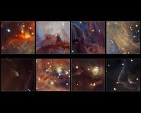 Hordes of Low-Mass Objects in the Orion Nebula
