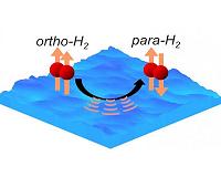 A new key to understanding molecular evolution in space