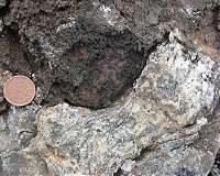 World's oldest fossils unearthed