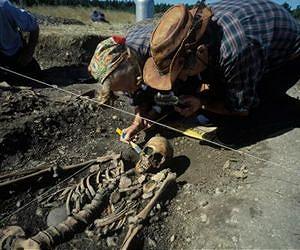 New study chronicles the rise of agriculture in Europe