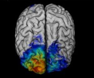 Adaptable decision making in the brain