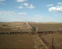 Namibia declares drought a national disaster, seeks aid