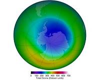 World already reaping benefits from ozone treaty: study