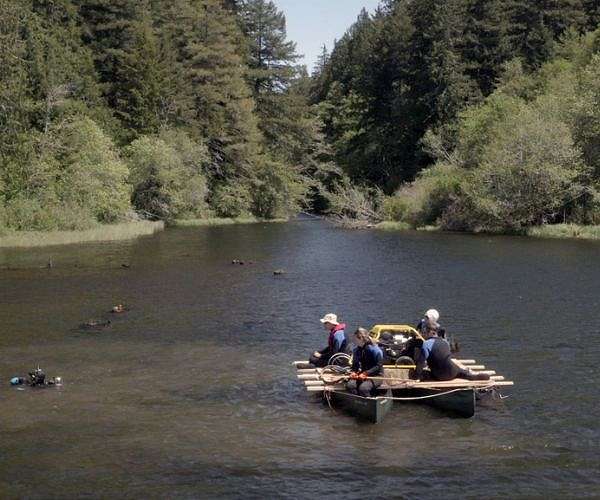 Tree rings reveal a new kind of earthquake threat to the Pacific Northwest