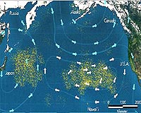 Plastic tide 'causing $13 bn in damage', UN says