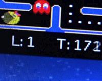 Knowledge transfer: Computers teach each other Pac-Man