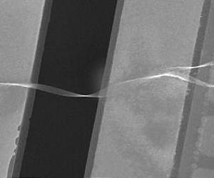 ORNL study confirms magnetic properties of silicon nano-ribbons