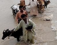 Pakistan searches for 23 people trapped by landslides