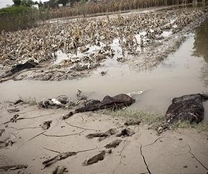 Pakistan flood emergency far from over