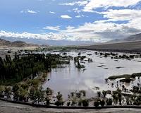 Fight to save endangered Indus dolphins, turtles