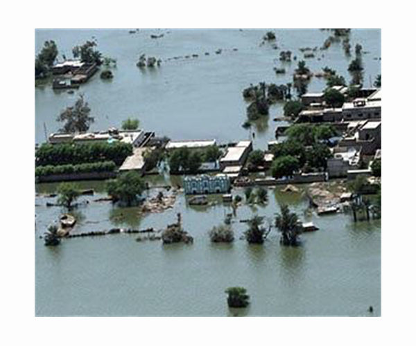 Villagers brave snakes and hunger to protect land in flooded Pakistan