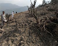 Suspected US strike kills seven in Pakistan: officials