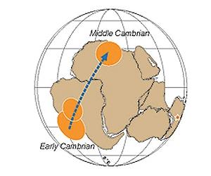 Gondwana Supercontinent Underwent Massive Shift During Cambrian Explosion