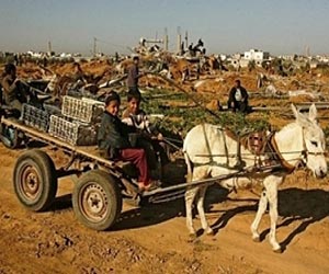 Palestinians seek recognition, with or without US