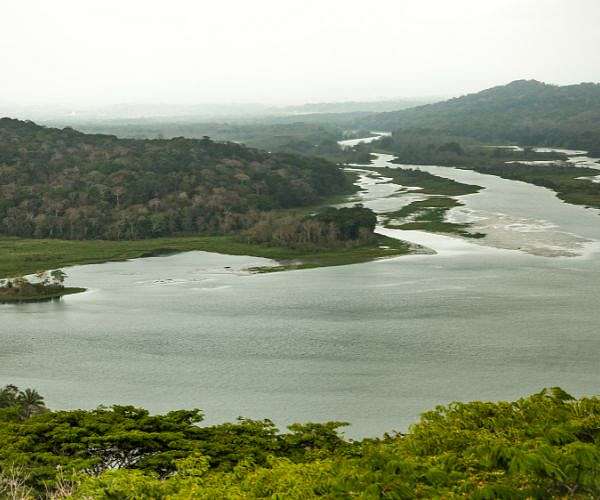 Panama dismantles 'VIP' Chinese migrant route in Darien jungle