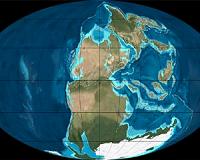 Earth's largest extinction event likely took plants first