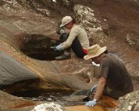 Platinum is key in ancient volcanic related climate change