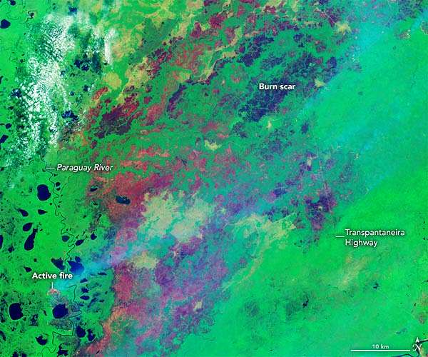 'Out of control fires' in Brazil wetlands spark state of emergency