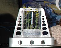 US scientists plan greenhouses on the Moon