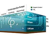 New view of how ocean 'pumps' impact climate change