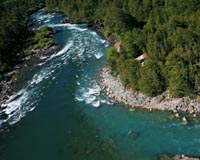 Remote Tierra del Fuego kelp forests surveyed for the first time in 45 years
