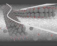 Molecular nanoribbons as electronic highways