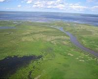 New method shows oil not polluting Athabasca Delta