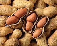 Picturing peanut contamination with near infrared hyperspectral imaging