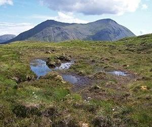 Peatland carbon storage is stabilized against catastrophic release of carbon