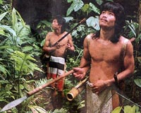 Borneo mega-dams proposal raises fears for tribes, wildlife