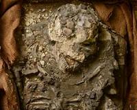 6,500-year-old human skeleton found in museum storage