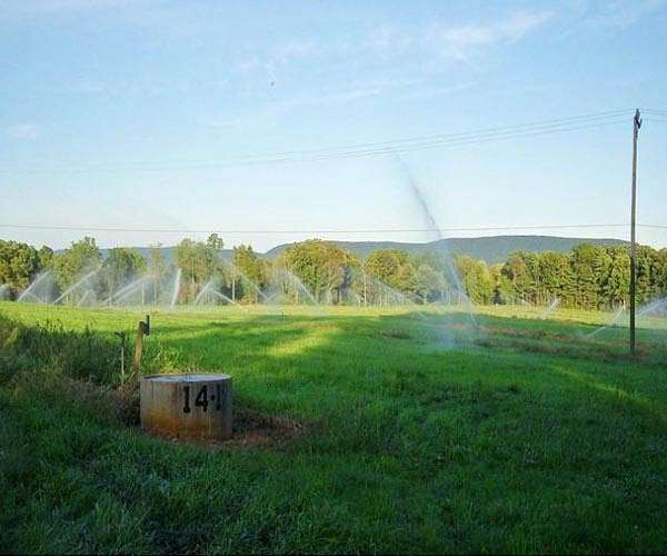 Startup helps farmers grow plant-based feed and fertilizer using wastewater