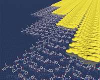 Two-dimensional materials skip the energy barrier by growing one row at a time