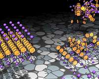 Tweaking a molecule's structure can send it down a different path to crystallization