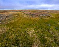Study of tundra soil demonstrates vulnerability of ecosystem to climate warming