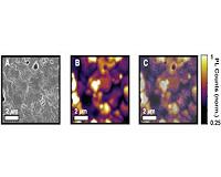 Research pinpoints defects in popular perovskites