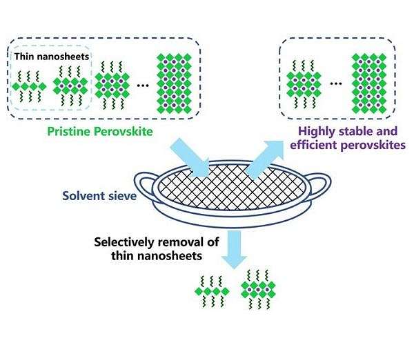 Perovskite LEDs achieve unprecedented lifespan with new sieving technique