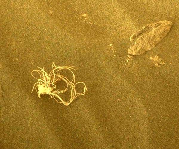 NASA explains strange stringy object photographed by Perseverance rover