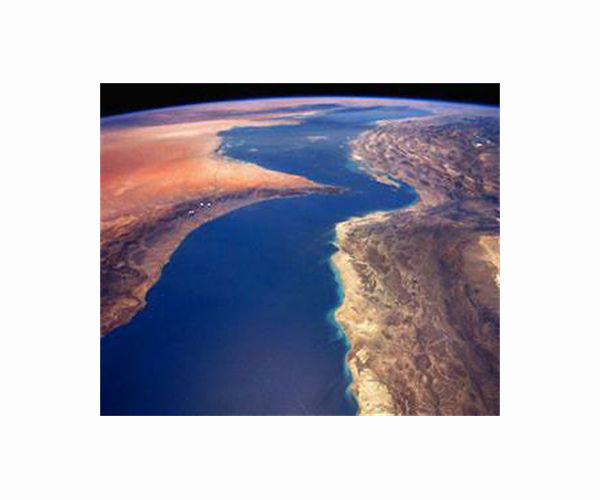 Oil-rich Gulf faces prospect of unlivable heat as planet warms