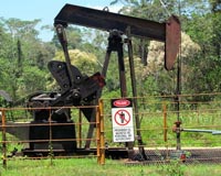 Strippers Suffering From Low Oil Prices