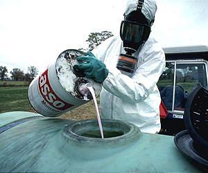 Over 350 sick in Japan after eating pesticide-tainted food: NHK