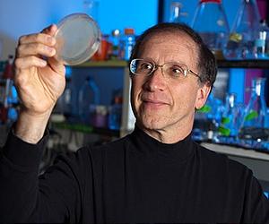 Constructing Synthetic Proteins That Sustain Life