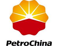 PetroChina frets over future growth