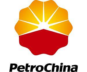 PetroChina says 2012 net profit falls 13%