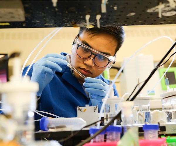 To decarbonize the chemical industry, electrify it