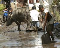Death toll rises to 17 in Philippines floods, landslides: rescuers