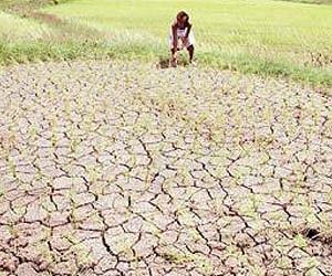 Erratic global weather threatens food security: experts